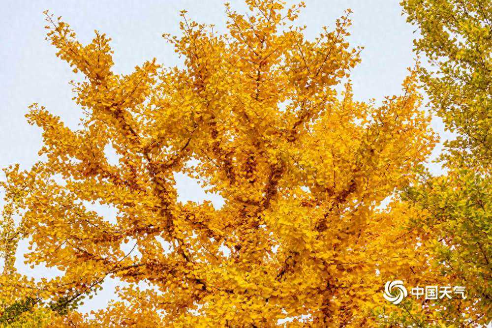 从北到南 跟着镜头一起看十月最美风景