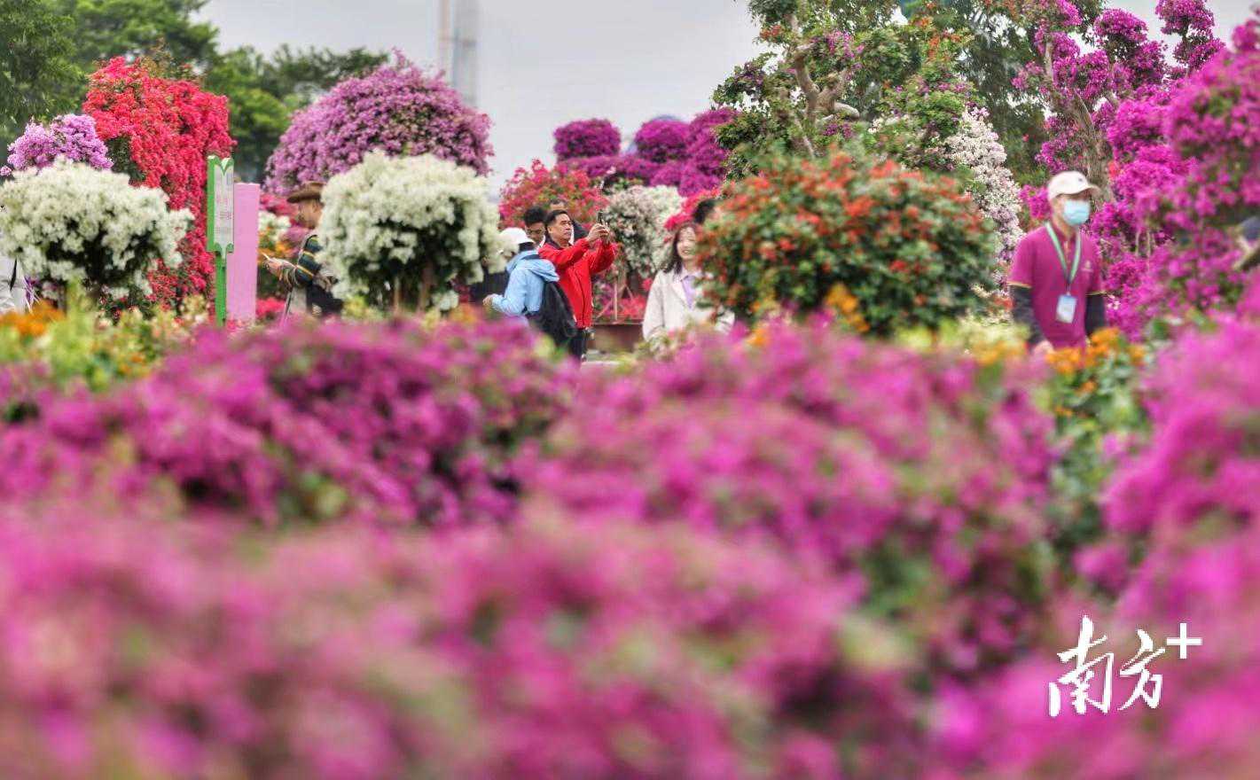 花数十万拍下二手车，拍卖公司竟是假的？超50人被骗！行业协会紧急提醒