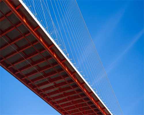 价格狂跌至3块一只，白菜价买来的鲍鱼，还高贵吗