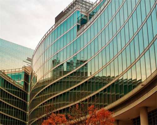 关于逐步恢复全县交警窗口业务的通告