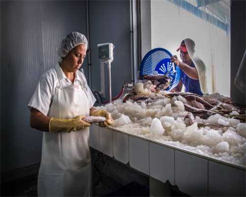 菲亚特500新能源：与劳斯莱斯一样的对开门，却是辆家用微型车