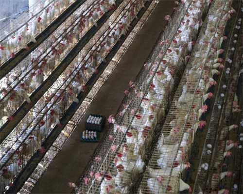 如果这台车是你的，你会多少钱卖？#荆州二手车