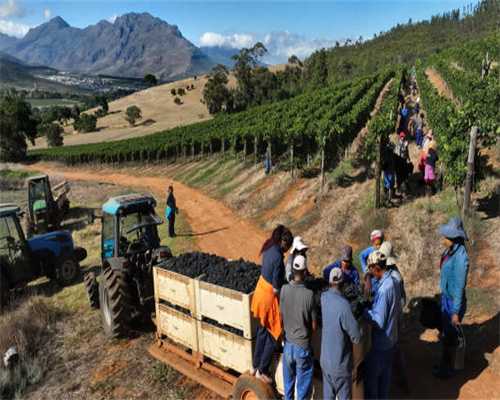 江淮高端MPV瑞风M6正式上市 23.95-34.95万元