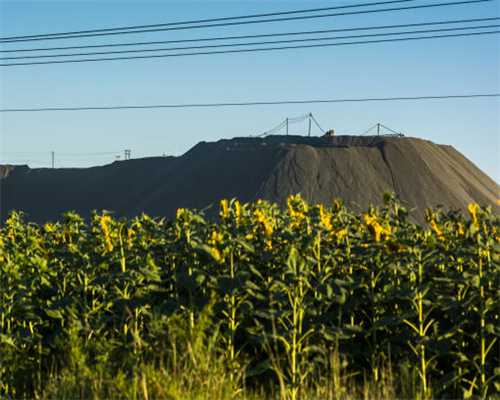 好消息！德州交警直属二大队车管所恢复车驾管及违章处理业务