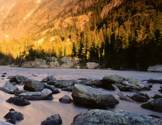 劝人买佛山二手房，非蠢即坏？